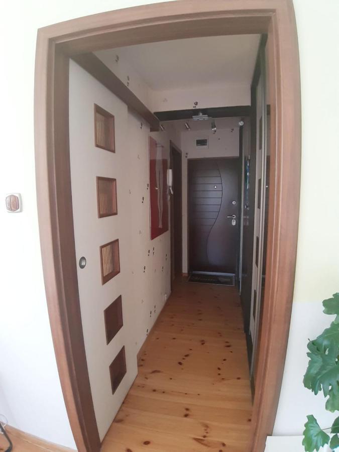 Sunroom Szczecin Luaran gambar